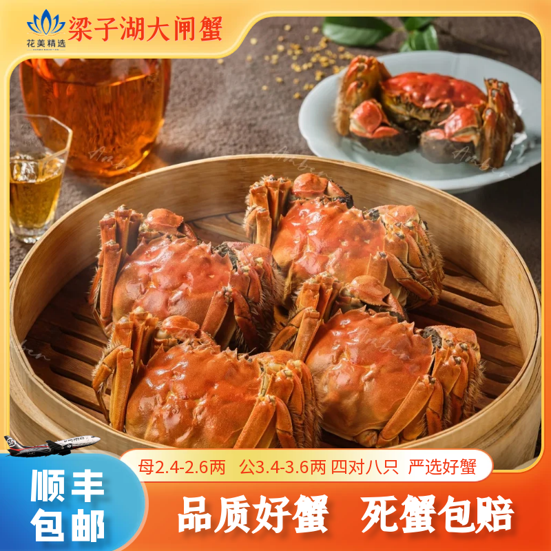 【活蟹】湖北梁子湖梁湖良品  大闸蟹  公蟹3.4-3.6两/只  母蟹2.4-2.6两/只   4对8只