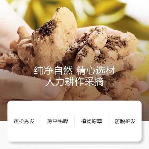 4楼Eubelle欧蓓 金星推荐Bodyaid博滴生姜盈润侧柏叶防脱固发洗发露330ml 吊牌价：69元 活动价：59元 商品图3