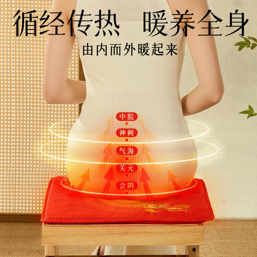 “福禄双至”·电加热艾绒坐垫 商品图2