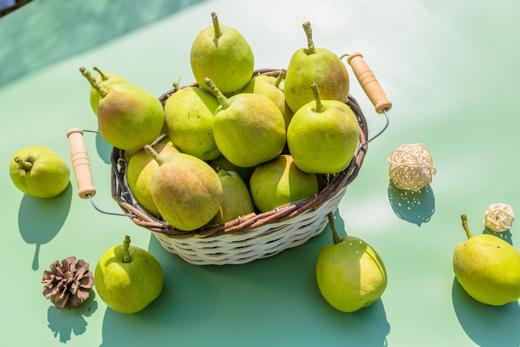 新疆库尔勒香梨 商品图4