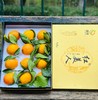 红美人柑橘|今年的首批红美人上市啦👏皮薄肉嫩，清香又清甜，果冻般的口感，第一批就有这样的口感很不错啦~ 商品缩略图7