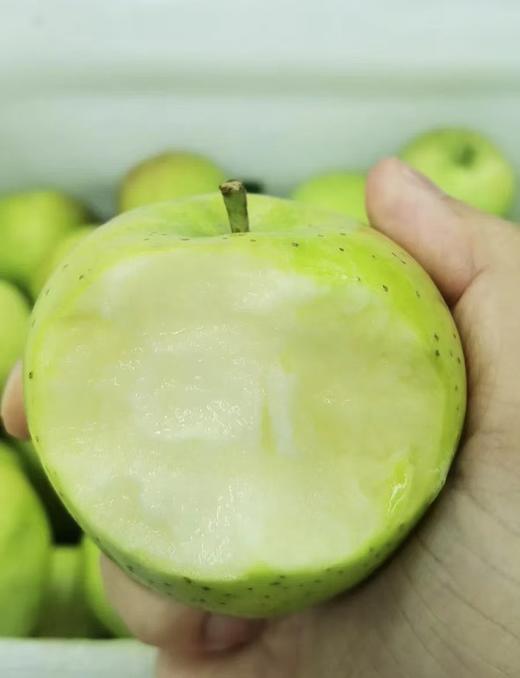 真正的哈巴庄园王林苹果 富士苹果   有机天然 无渣 九分甜  |百里食 商品图9