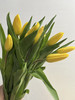 国产郁金香-【黄色】 商品缩略图1