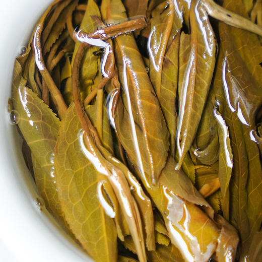 【弯弓凤凰窝】2025年头春茶，易武弯弓原始秘境中的茶香产量稀缺的珍贵佳茗品味世外桃源中的味觉盛宴，500克/箱 拍1箱发2箱 商品图3