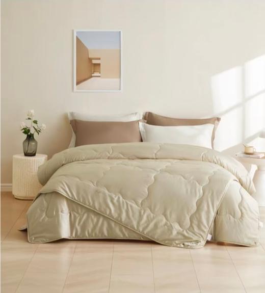 【天然温度调节器】去感受 驼绒子母被（95%驼绒+5%驼毛） 200*230cm 塔尖级珍奢骆驼绒 商品图0