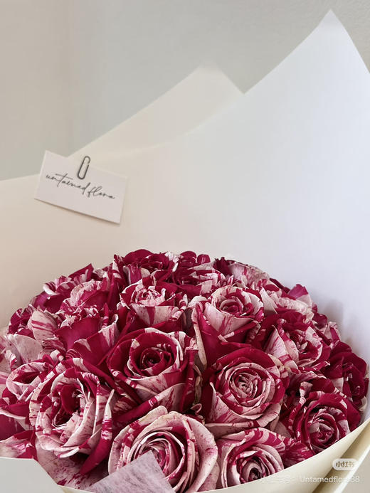 国产玫瑰-【水瓶座】 商品图2