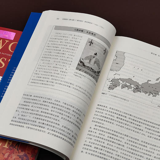 世界简史：变迁与延续的主要模式（第8版） (美)彼得·N.斯特恩斯 著  杨兰鋆 译 北京大学出版社 商品图4