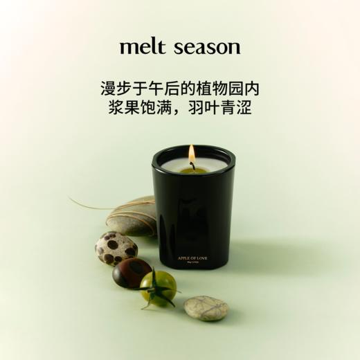 melt season香薰蜡烛（大红袍）90g 商品图0