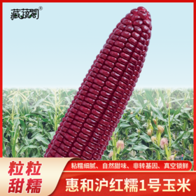 [生鲜蔬果] 沪红糯1号 甜糯玉米  真空包装 旧包装 旧日期 25.3