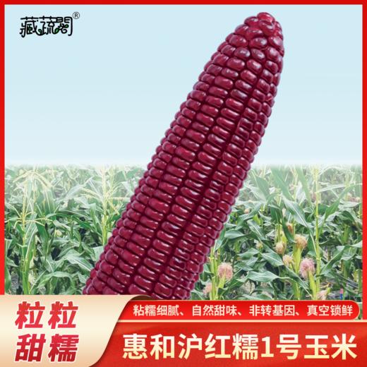 [生鲜蔬果] 沪红糯1号 甜糯玉米 真空包装锁鲜更长久 新日期 25.9 商品图0