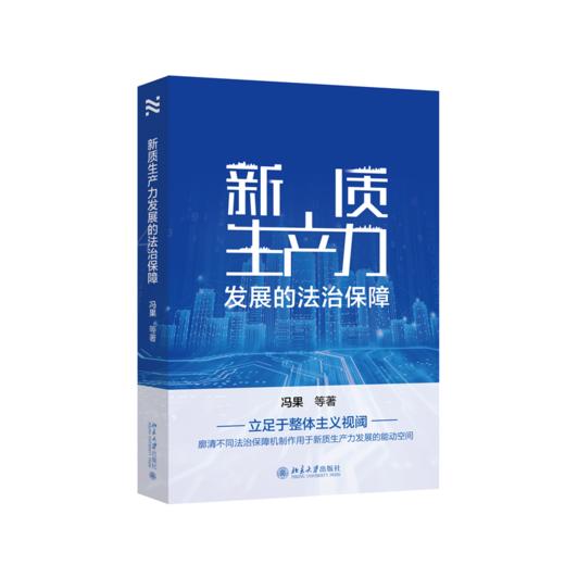 新质生产力发展的法治保障 商品图0
