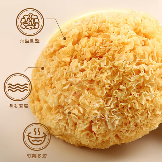 【秒杀】富昌糯银耳100g 商品图4