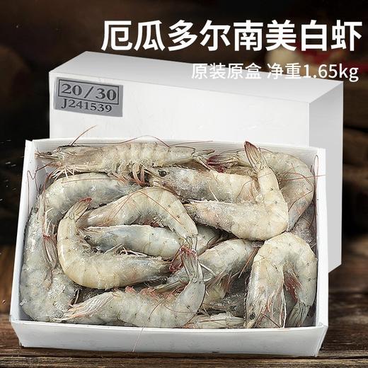 桑塔白虾23 商品图0