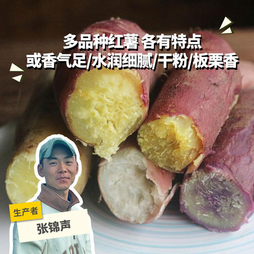 生态红薯（多品种本地白/哈密白/一点红/玛莎莉/鸣门金时） | 绿家自产*Eco-sweet potato | Self-production 商品图0