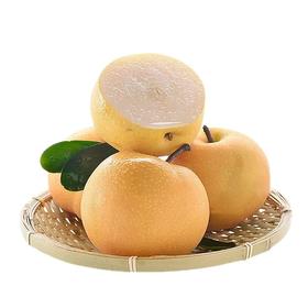 秋月梨（1200±100g）