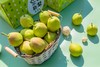 新疆库尔勒香梨 商品缩略图5