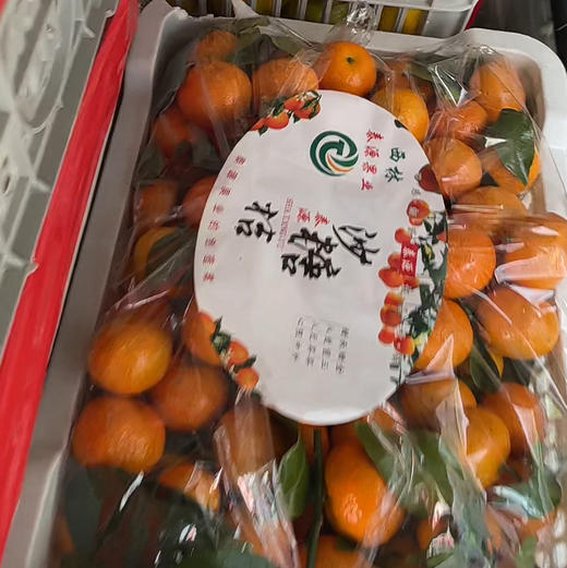 【纯甜稀缺正宗小砂糖蜜桔】多汁可口，纯甜纯甜，橘子味很正，味道浓郁！ 商品图4