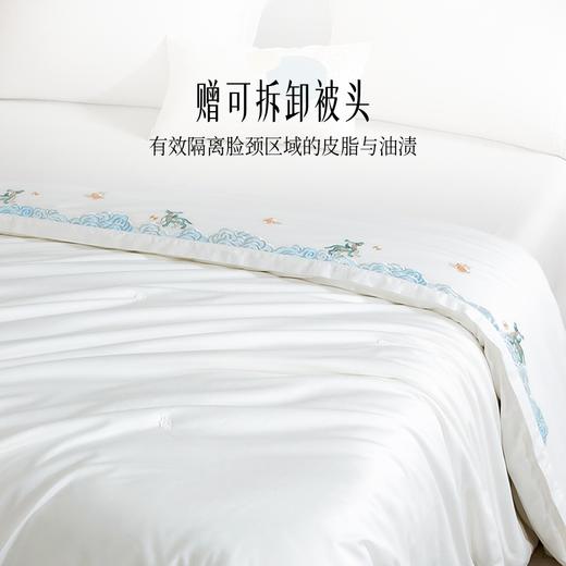 多喜爱 神州丝韵纯桑蚕丝被系列/春秋被/冬被/子母被hl（麒麟）【100%桑蚕丝】【中长丝】【60S全棉贡缎】70cm检测口 *赠可拆卸被头 多款厚度可选 品质包装 商品图4