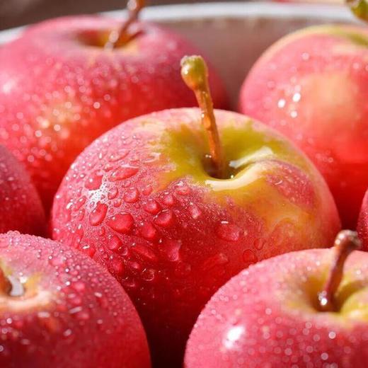 乐淇小苹果5粒 约350g/盒 商品图3