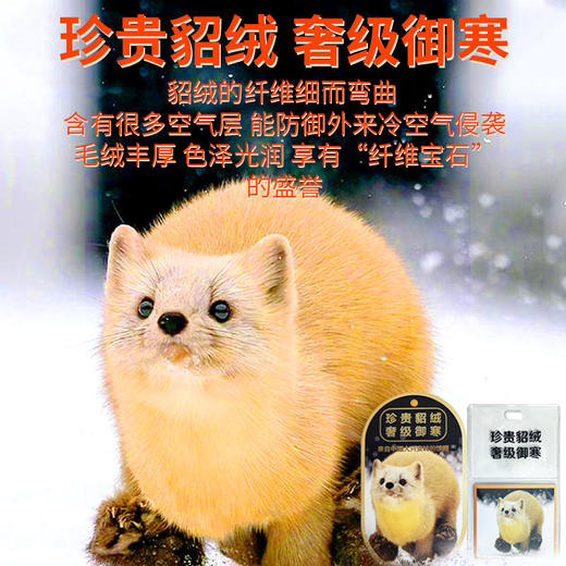 79元/2套！雅鹿羊毛蚕丝貂绒保暖套装 商品图3