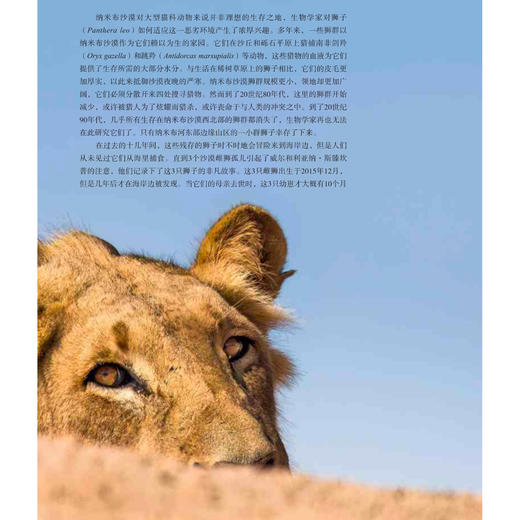 《地球脉动》（1+2+3）共3册 商品图13