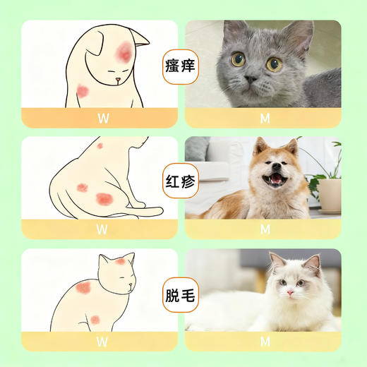巴士宠皮肤护理喷剂100ml  瘙痒皮屑猫癣狗癣 草本配方 线下专供 整箱=35瓶【5送2，10送5】 商品图1