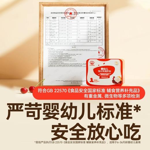 秋田满满婴幼儿强化铁猪肝粉40g 商品图2