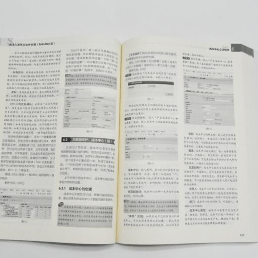 由浅入深学习SAP财务 S4HANA版 SAP财务教程 财务分析 ERP系统财务顾问会计教程书籍 商品图2