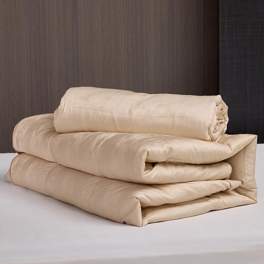 多喜爱 金羽朵95进口白鹅绒冬被/白鹅绒桑蚕丝子母被 -鎏光暖域/栖金枕月hl【95%绒子含量】【1000+清洁度】【波兰进口】【60S兰精天丝】【贡缎面料】银丝提花工艺 3D航空舱  10CM开口 商品图8