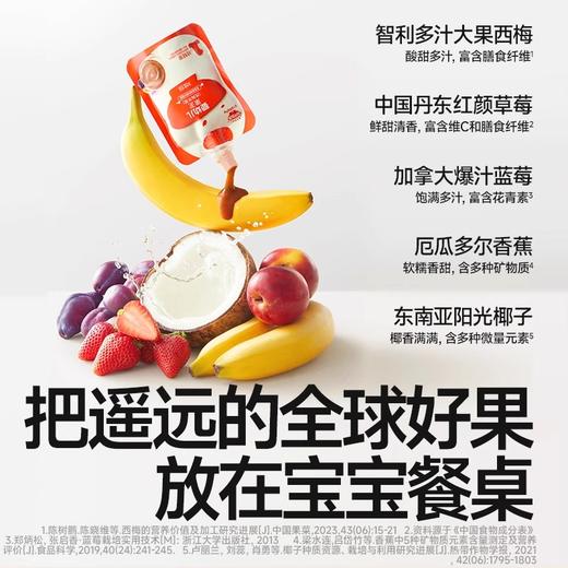秋田满满果泥类合集 商品图3