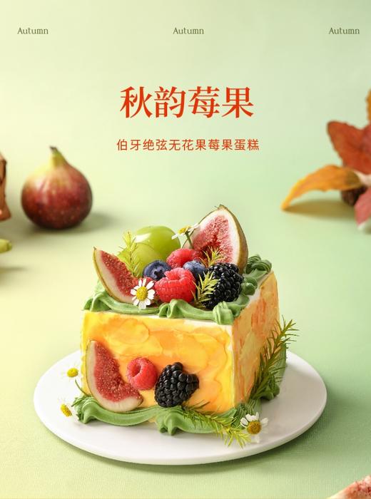 秋韵莓果·伯牙绝弦无花果莓果蛋糕，可选5,6,8英寸 | 36CAKE 商品图5
