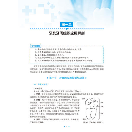 口腔内科护理技术 第2二版 改革创新试验教材 毕小琴 赵晓曦 主编 供护理类专业用 创新教材 专科高职9787117385053人民卫生出版社 商品图4
