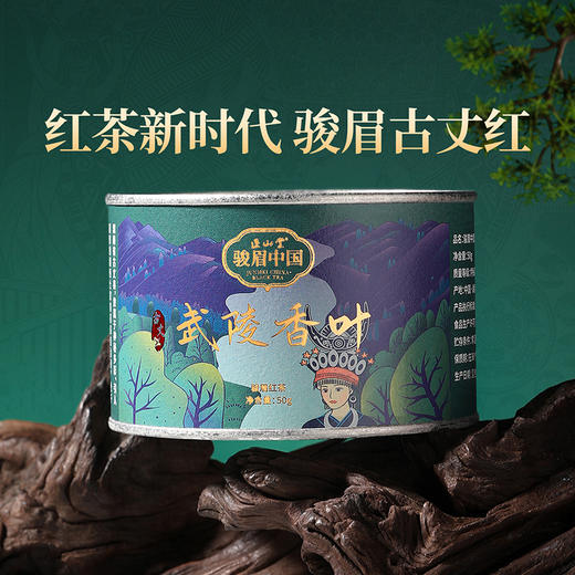 正山堂 古丈红武陵香叶 多叶特级红茶湖南骏眉中国茶叶正宗罐装自饮 商品图5