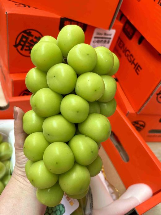 青藤社®晴王＃日本苗云南种，颗粒大，圆润饱满，口感脆爽，甜而香！ 商品图1