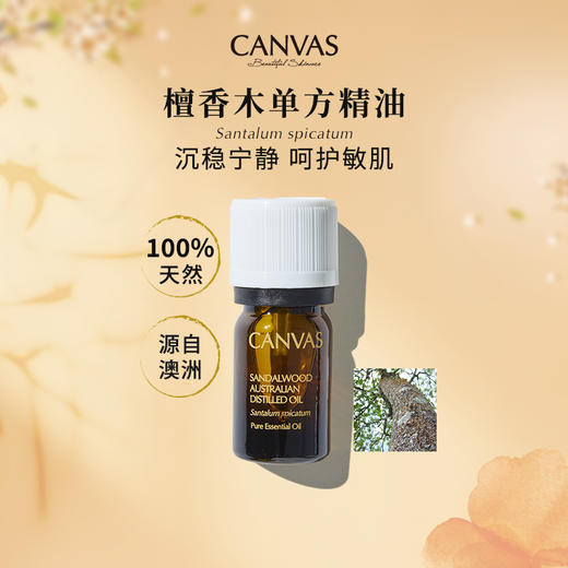 保税直发 CANVAS 卡芬诗 檀香木单方香薰精油 5mL 商品图1