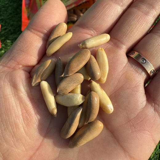 爱嗑巴西手剥松子 商品图2