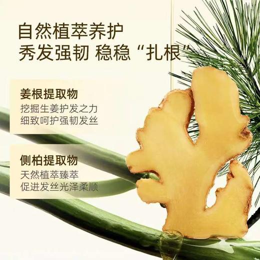 4楼Eubelle欧蓓 菲诗蔻臻萃生姜丰盈洗发水300ml 控油蓬松 吊牌价：99元 活动价：89元 商品图4