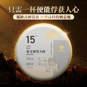 【象牙塘望天树高杆】2025年春茶古树易武大火山头稀缺高杆资源福利价体验高杆古树茶的魅力好茶只招待骨灰级懂茶人，357克/饼，拍5发6