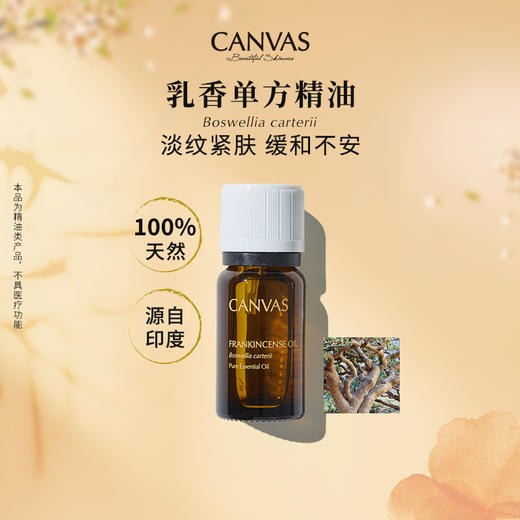 保税直发 CANVAS 卡芬诗  乳香单方香薰精油 12mL 商品图1