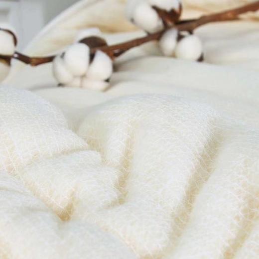 【新疆直发】新疆长绒棉胎棉被多种规格尺寸 商品图1