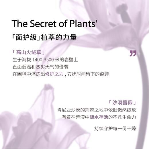 IMSOLE不定所自由之境香乳 商品图2