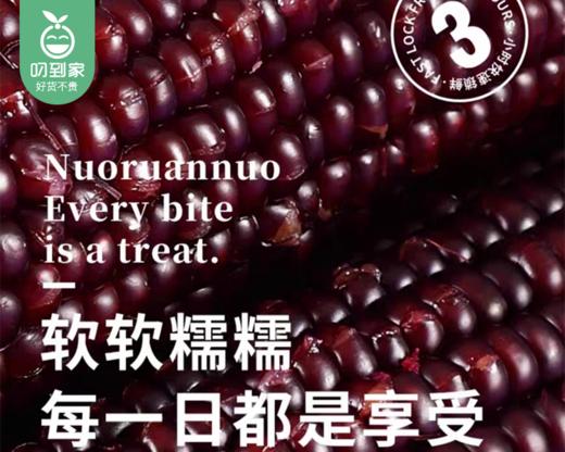 e人煮黍甜黑糯鲜玉米/1袋（220g*8支）生产日期：25年9月 商品图2