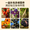 宁之春 缤纷七味原浆组合  30mlx7袋 红枸杞 、黑枸杞、桑葚、沙棘、西梅等......七种原浆 商品缩略图2
