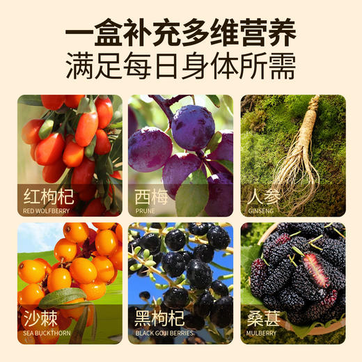 宁之春 缤纷七味原浆组合  30mlx7袋 红枸杞 、黑枸杞、桑葚、沙棘、西梅等......七种原浆 商品图2
