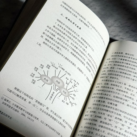 把课堂还给学生 如何构建理想课堂 大夏书系 教师专业发展系列 商品图11