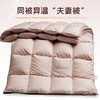 多喜爱 金羽朵95进口白鹅绒冬被-琥珀梦境./鎏光暖域hl【95%绒子含量】【1000+清洁度】【波兰进口】【60S兰精天丝】【贡缎面料】银丝提花工艺 3D航空舱  10CM开口 商品缩略图4