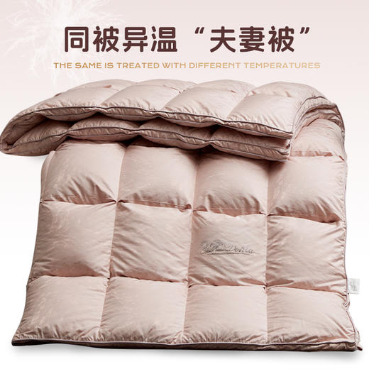 多喜爱 金羽朵95进口白鹅绒冬被-琥珀梦境./鎏光暖域hl【95%绒子含量】【1000+清洁度】【波兰进口】【60S兰精天丝】【贡缎面料】银丝提花工艺 3D航空舱  10CM开口 商品图4