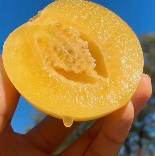 【七彩云南人参果中果秒杀活动】人参果，三个特点：香，水份大，没有核。每一口都充盈着香甜的果汁清甜 商品图7