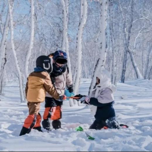 【寒假单飞】林海雪原｜小兴安岭5天冬日之旅，林海雪原我的家 商品图1