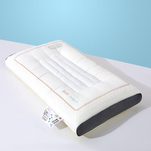 麦上家居MAYSEA｜草本养生大凉山苦荞枕整晚睡出云朵般的松弛感 商品图1